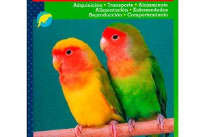 libros agapornis