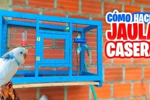 Hacer jaula casera